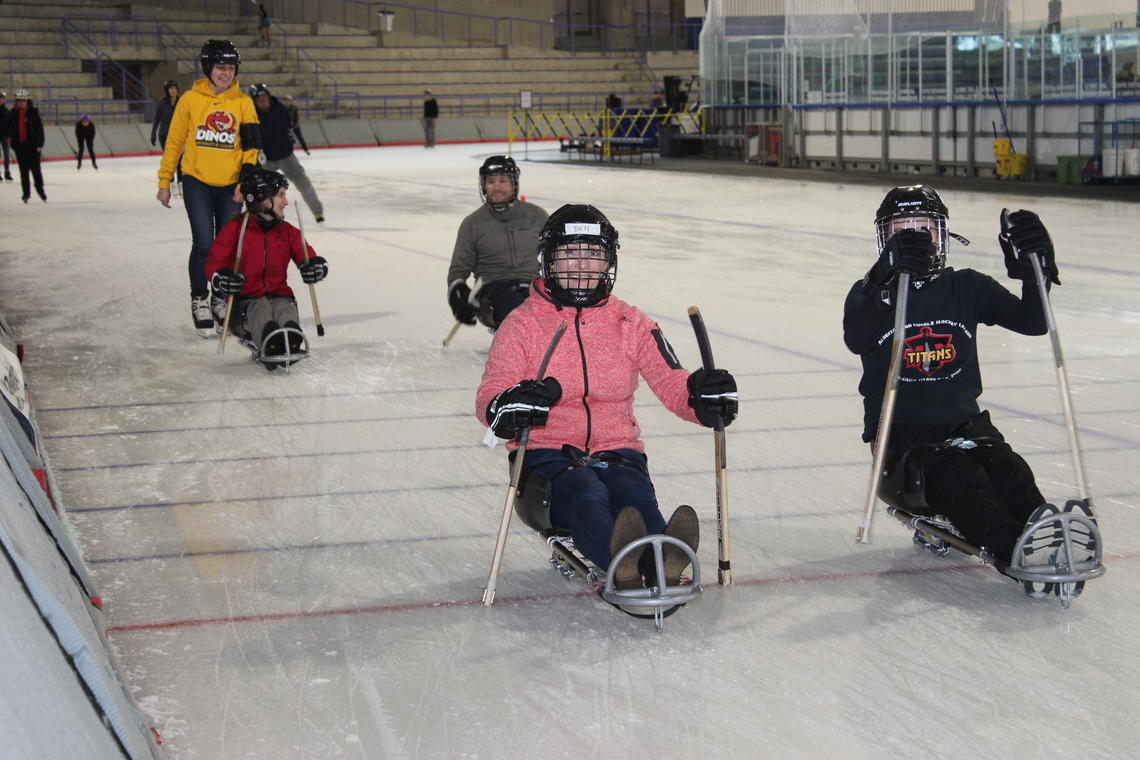 The Danish team for adaptive sport and the Calgarians take a few trips around the Olympic Oval ice to get the full experience of playing sledge hockey. Student Elysa Sandron (in yellow Dinos hoodie) is launching a camp, which will include sledge hockey, for youth with disabilities this summer. 