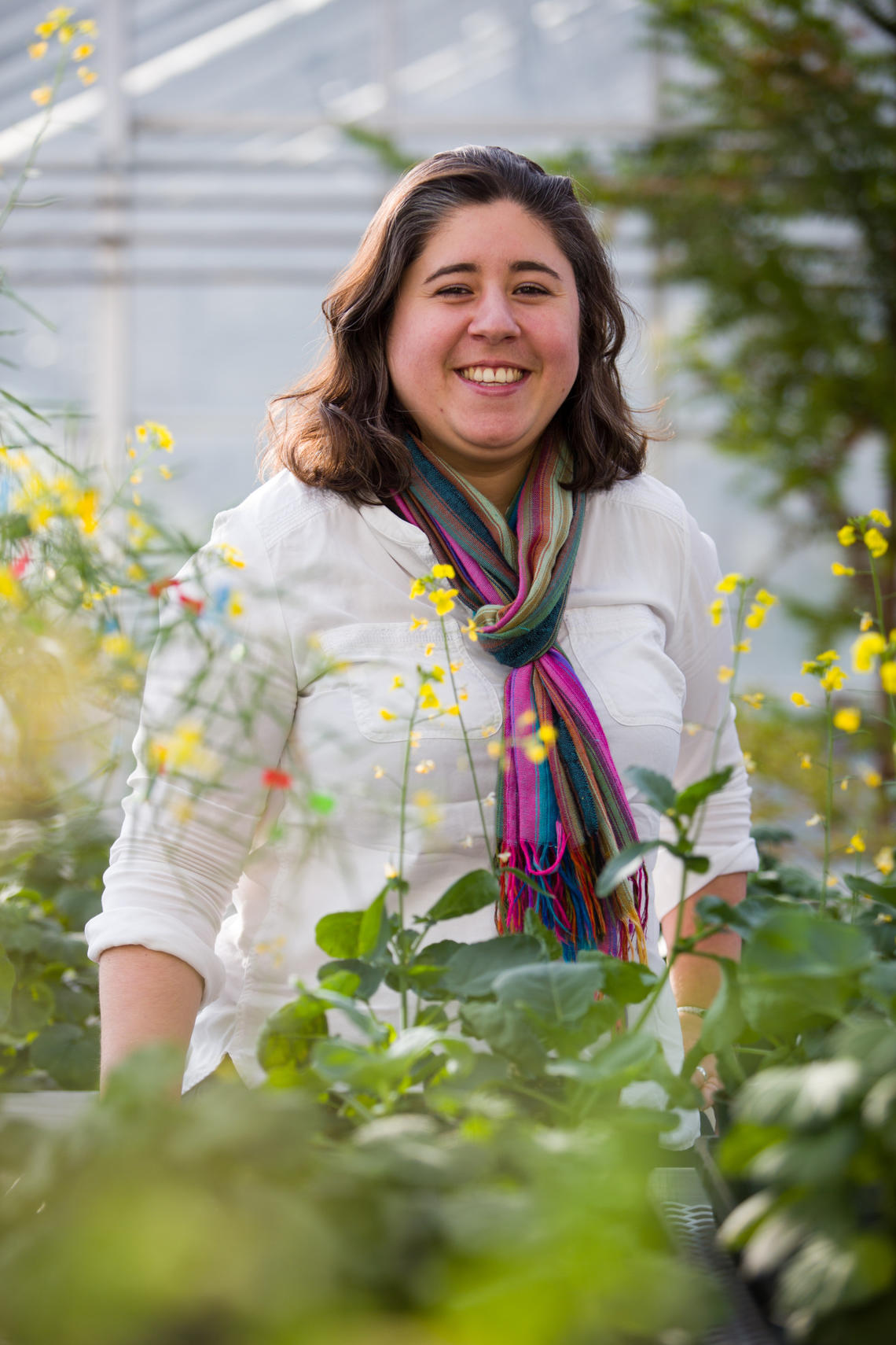 “Plants are amazing. They don’t move, they can’t walk, so they have to be creative in having a lot of mechanisms to survive,” says University of Calgary researcher Sabine Scandola, who performed all the experiments in the study with Marcus Samuel.