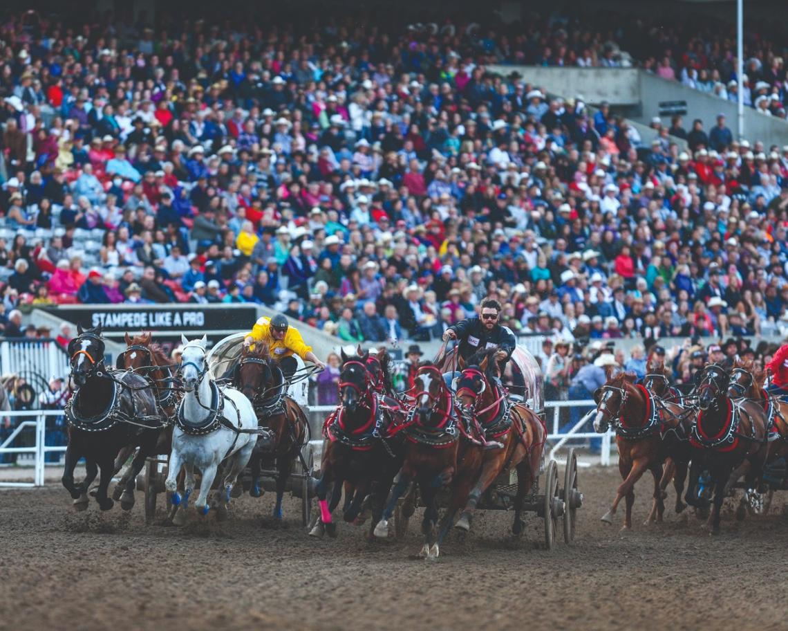 The GMC Rangeland Derby showcases world-class chuckwagon drivers.