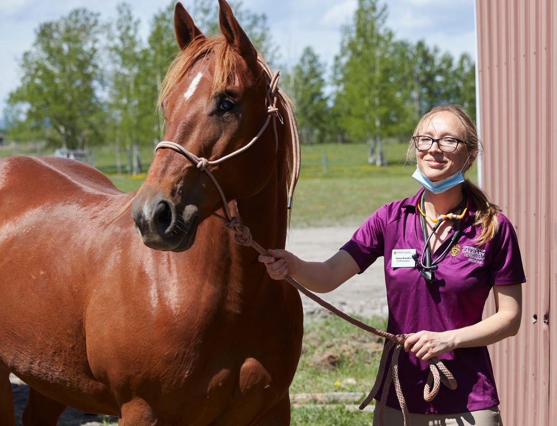 Jenna Brandon leads her next equine patient in for a dental exam. 