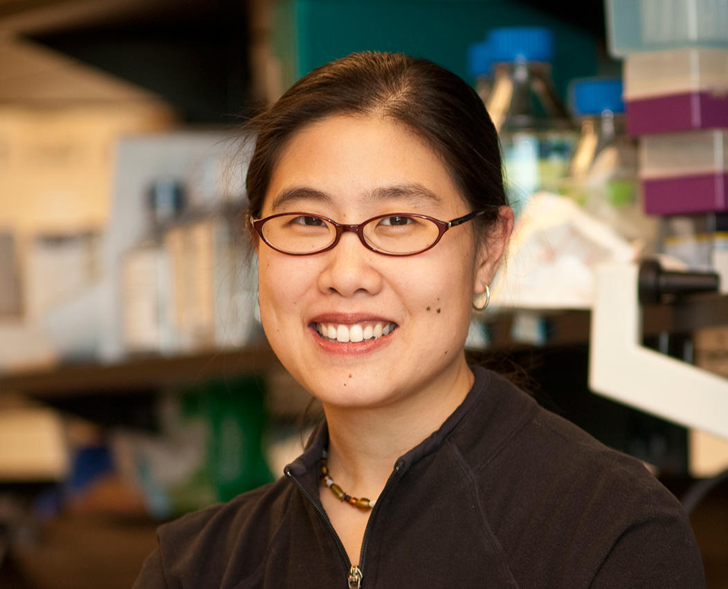 Dr. Jennifer Chan