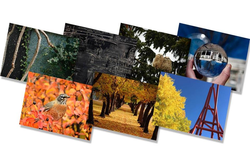 UCalgary offers a wide variety eNotes and print cards.