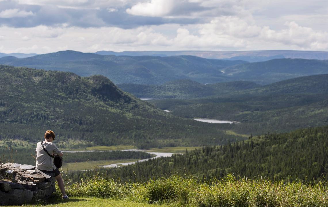 A tourist looks out over Stuckless Pond in Gros Morne National Park, Newfoundland and Labrador, in August 2016.