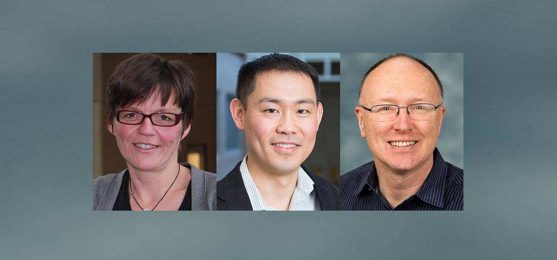 The CIHR Project Grant program chose projects led by Drs. Sabine Gilch, PhD, Tuan Trang, PhD, and Patrick Whelan, PhD, all researchers in the University of Calgary Faculty of Veterinary Medicine (UCVM).