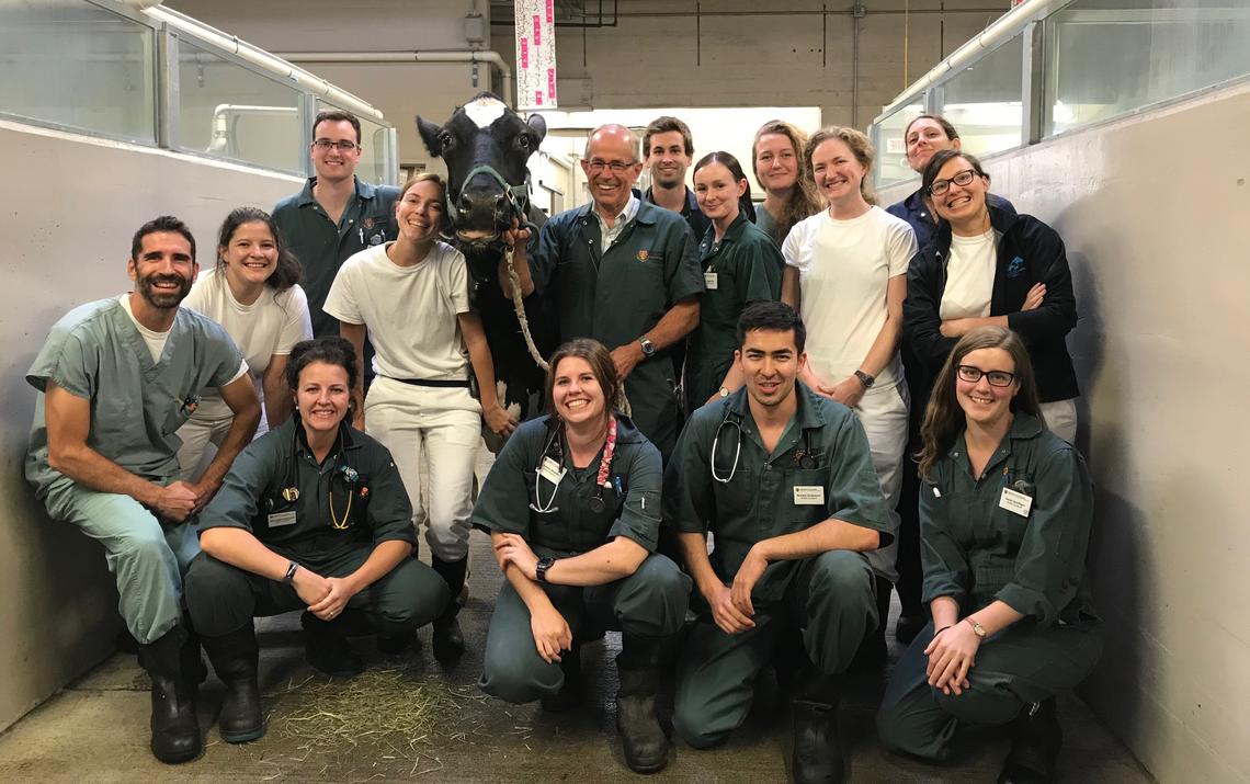 Gordon Atkins (centre stage with a dairy cow) with students from UCVM’s Class of 2020 during a dairy health rotation in Ste. Hyacinthe, Quebec.