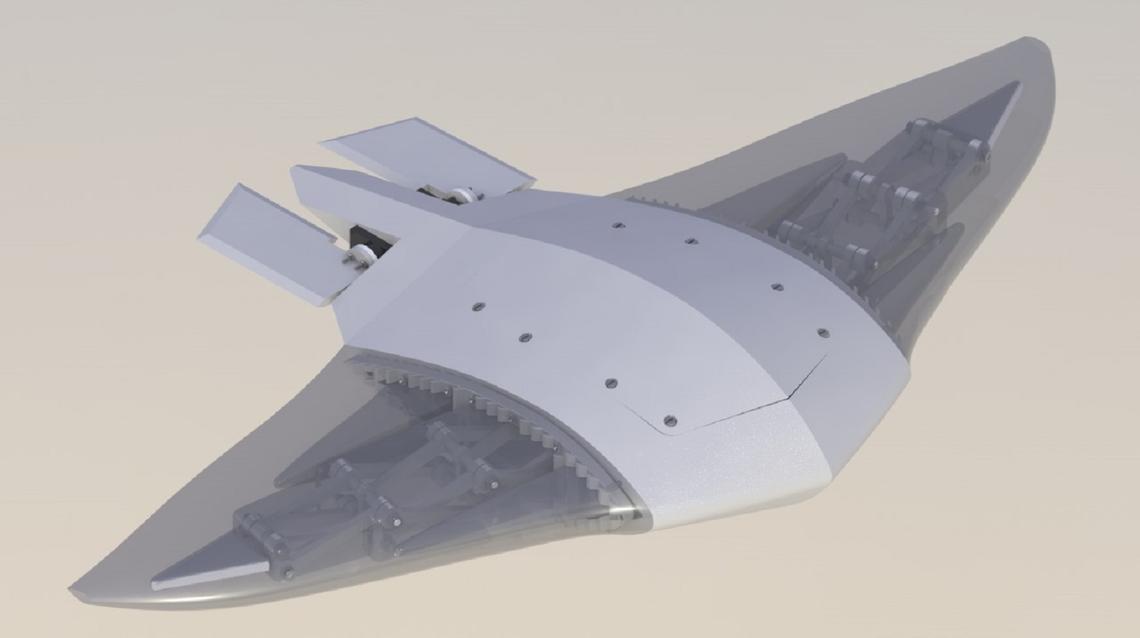 MantaRayRendering