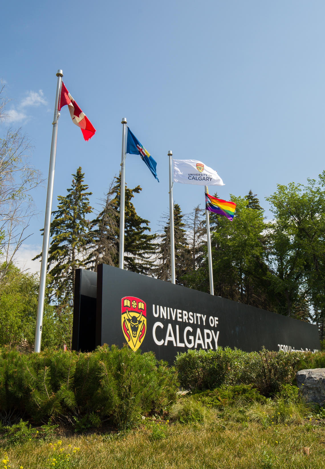 UCalgary support for Pride 