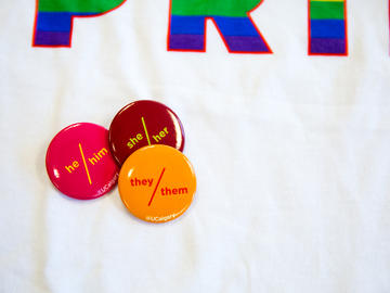 Pirde pins and t-shirt