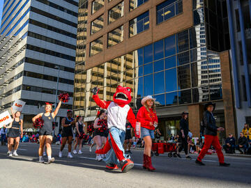 Rex and the UCalgary Cheer Squad walking the streets of downtown at the Stampede Parade. 