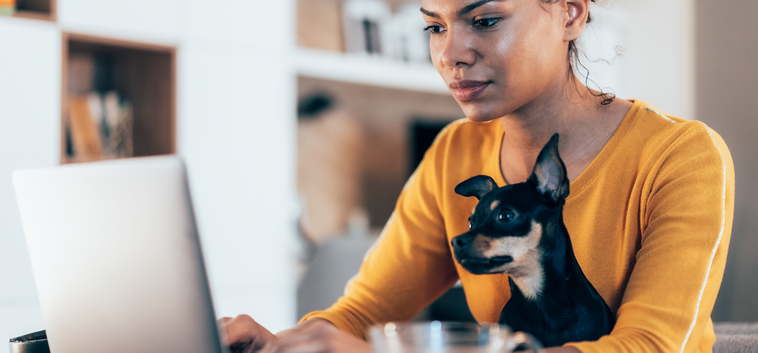 Woman with small dog typing on laptop