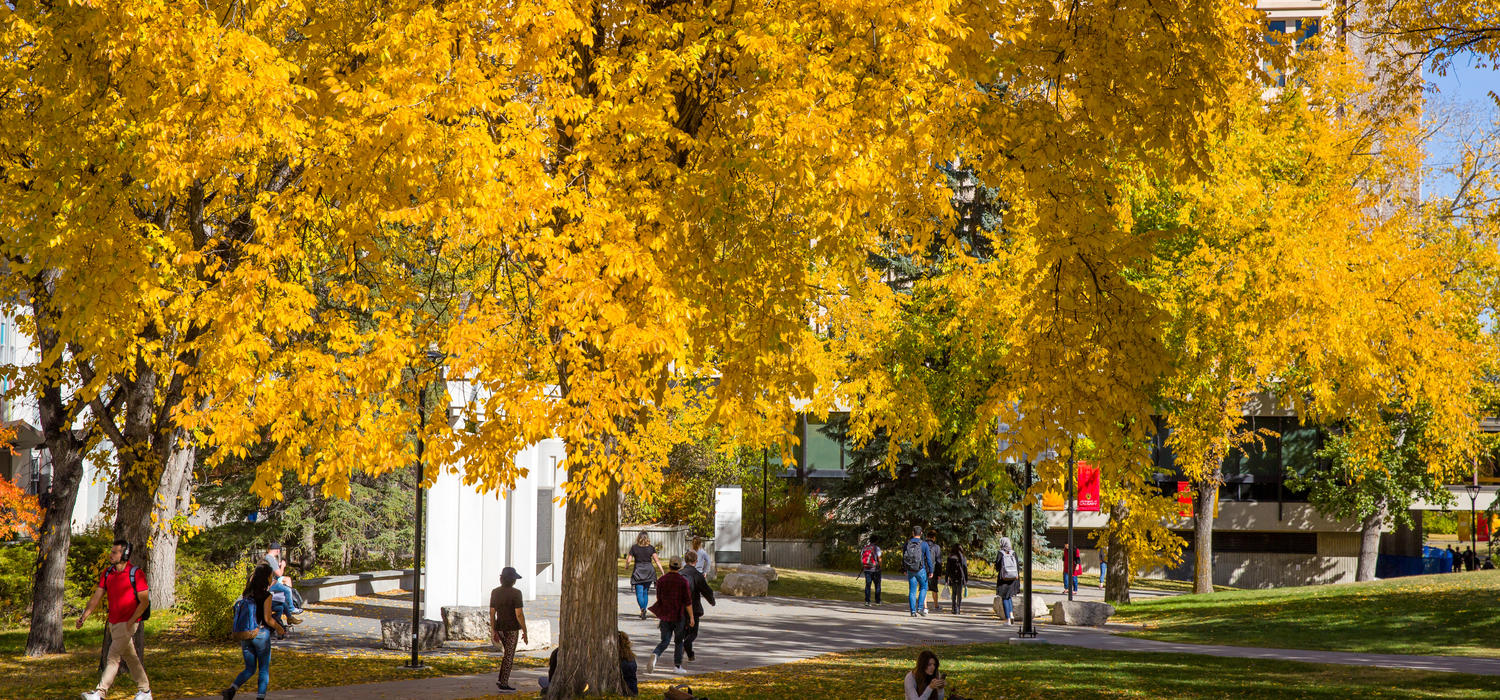 UCalgary campus in the early fall