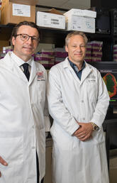 Clinician-scientist Paul Fedak, left, with immunology researchers Paul Kubes and Justin Deniset.