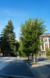 UCalgary campus image