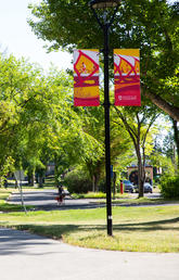 The University of Calgary campus in the summer of 2020 during the COVID-19 outbreak.