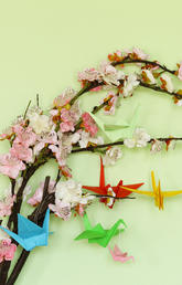 Blossoms and paper cranes