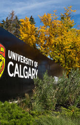 Students walk around campus in the fall of 2017.