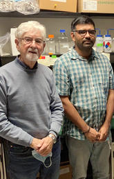 Dr. Morley Hollenberg, left, and his UCalgary research team made an important discovery about how the diabetic drug, metformin, works.  