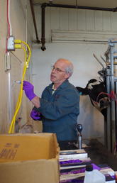 Michel Levy and DVM students complete a physical examination on a steer.