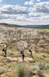 Members of the field team explore the geology at Drumheller field site.