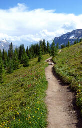 Photograph of Helen Lake Trail in Alberta