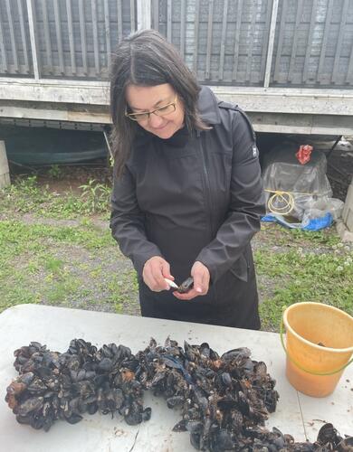A white woman with dark brown hair stands over a table outside shucking mussels.
