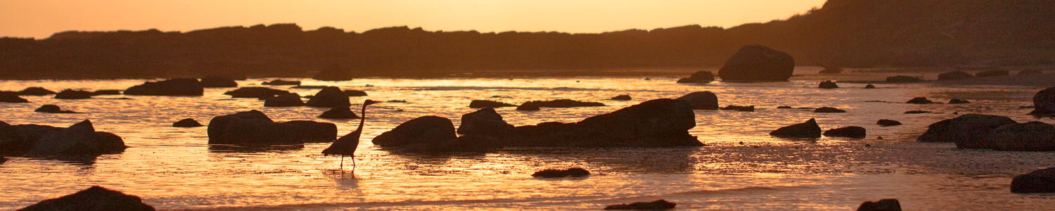 West coast trail image 