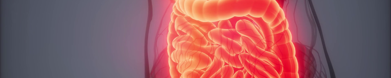 gut image