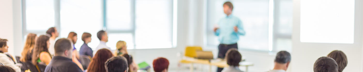Person giving a presentation.