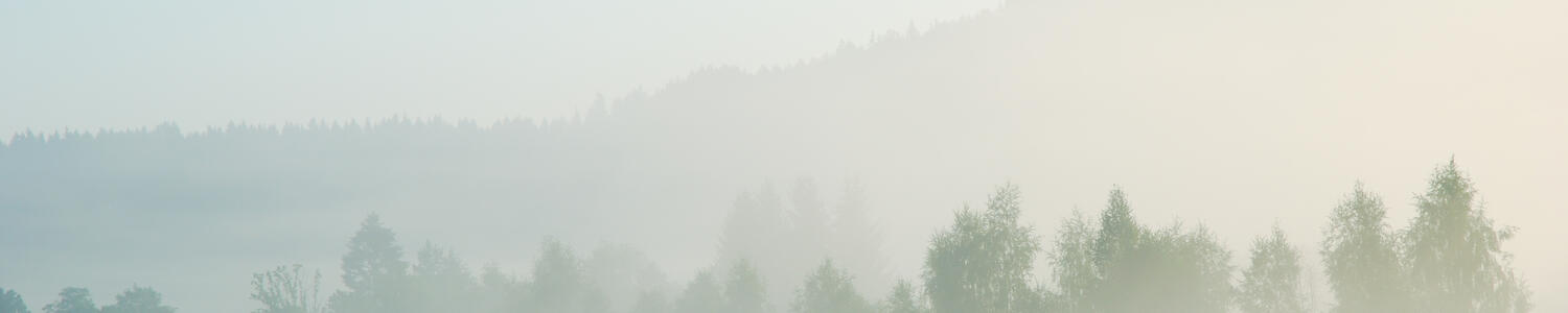 Foggy morning rural landscape with field, trees and distant hill