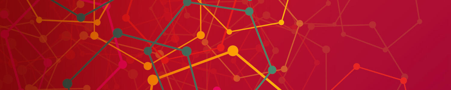 CSM strategic plan 