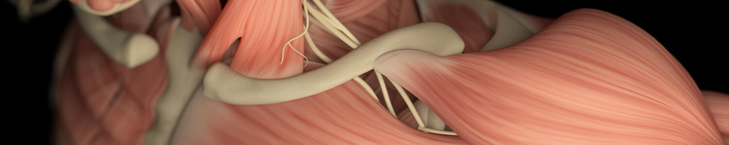 ATSSL Mission and Vision