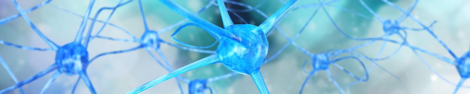 Neural Network