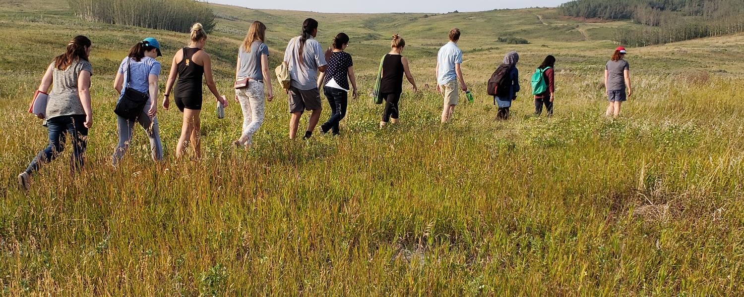 The Indigenous Health Program