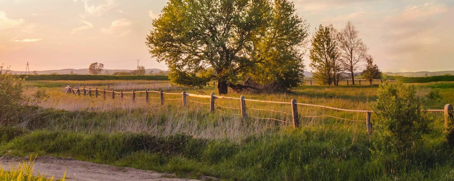 rural AB