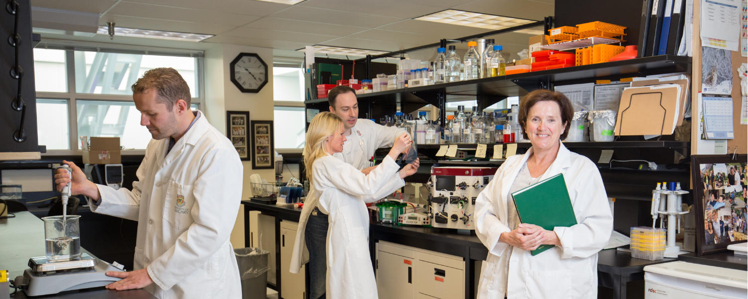 Researchers at the CSM