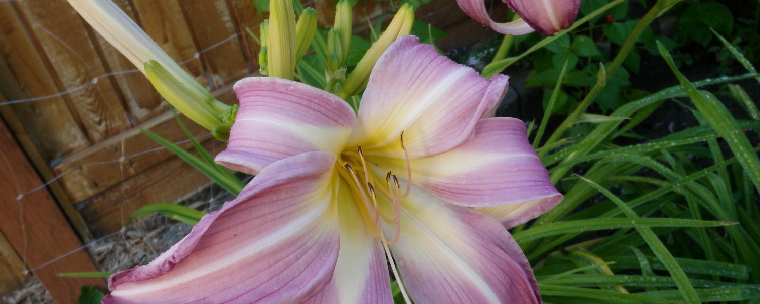 Patient Contact Page