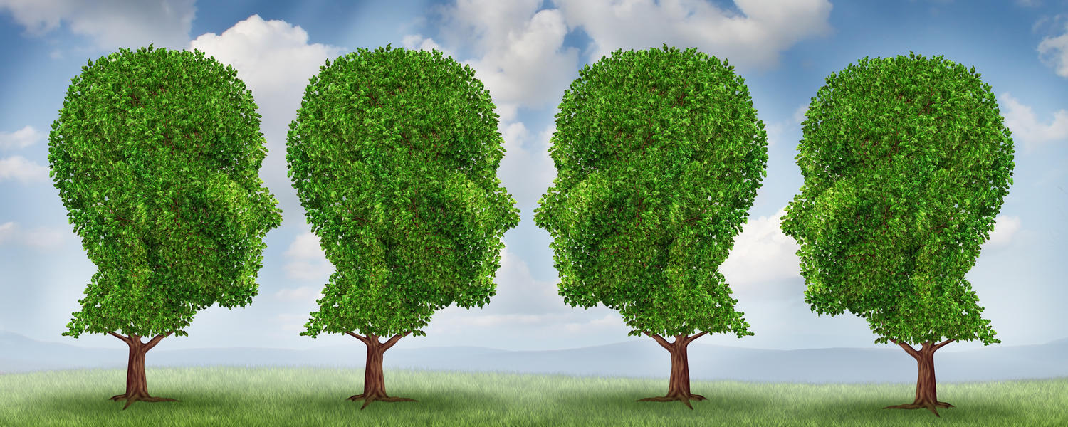 Geriatric Psychiatry Subspecialty