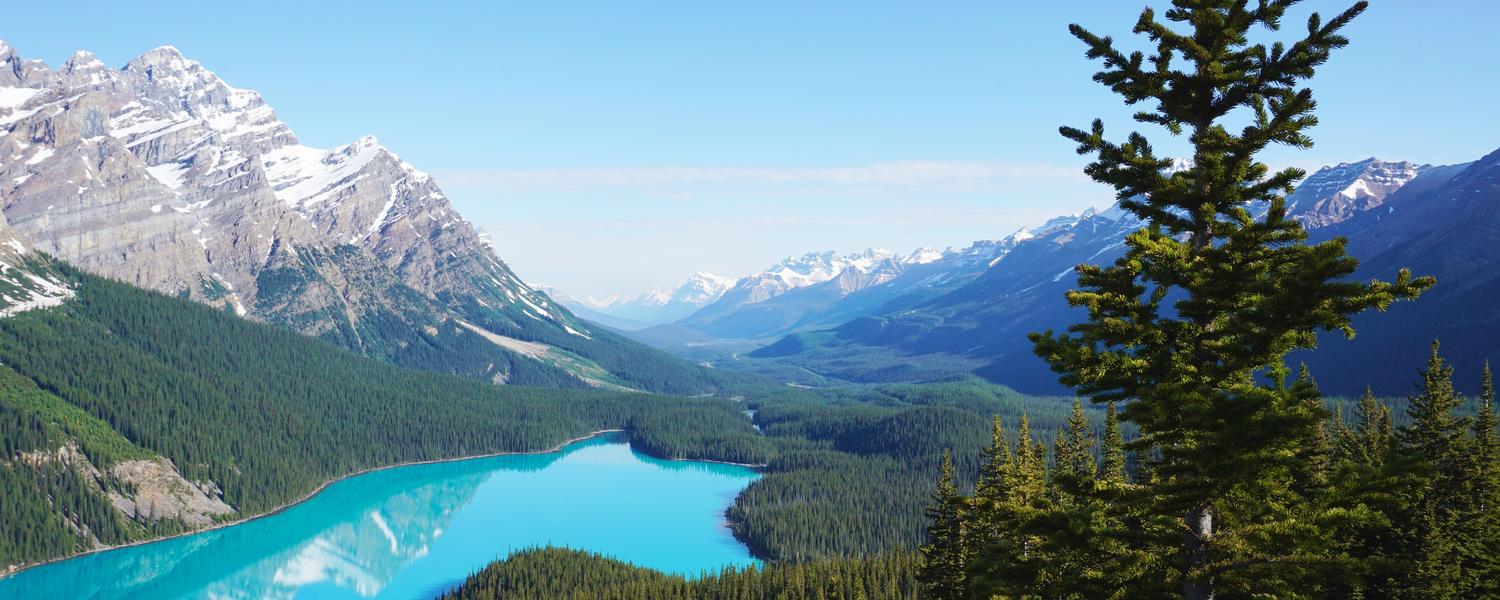 Peyto Lake