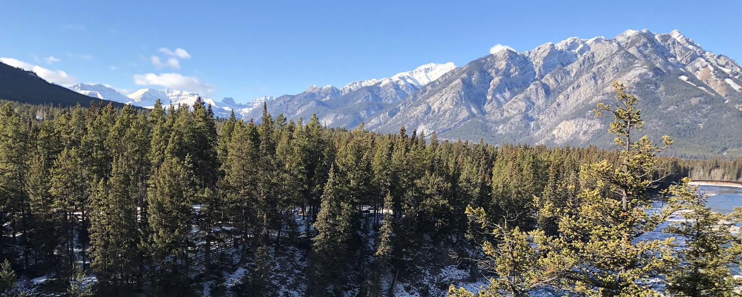 View of Banff National park including evergreen trees and mountains