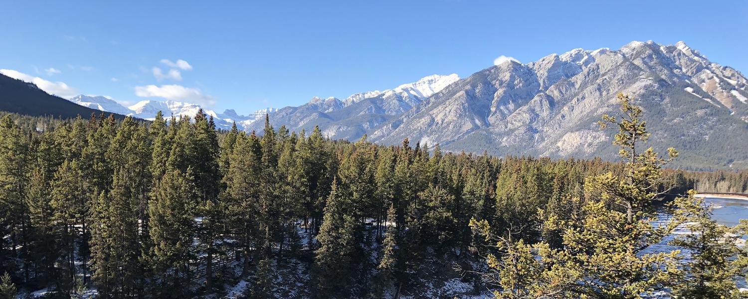 View of Banff National Park - trees and mountains