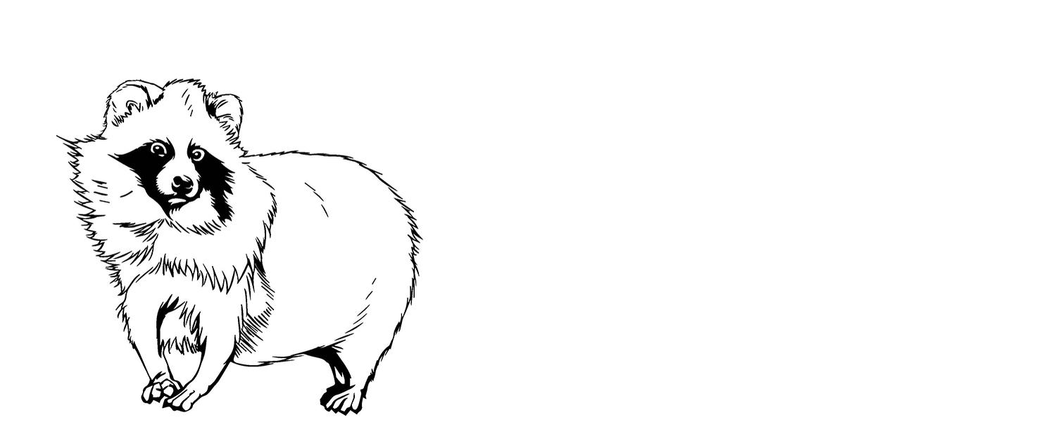Tanukis