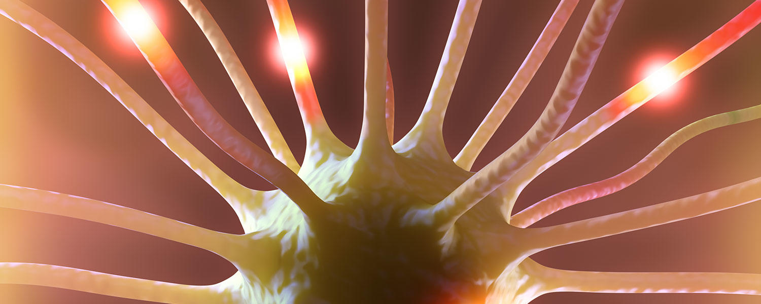 Neuron