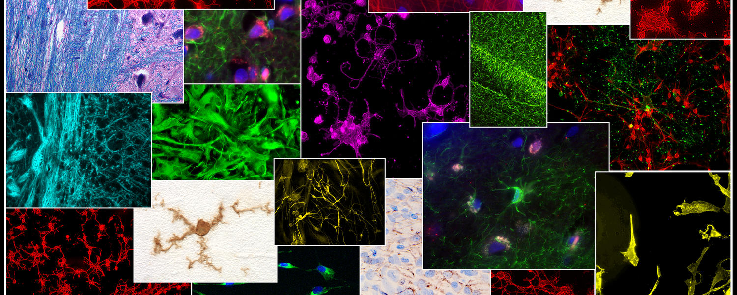 Cells