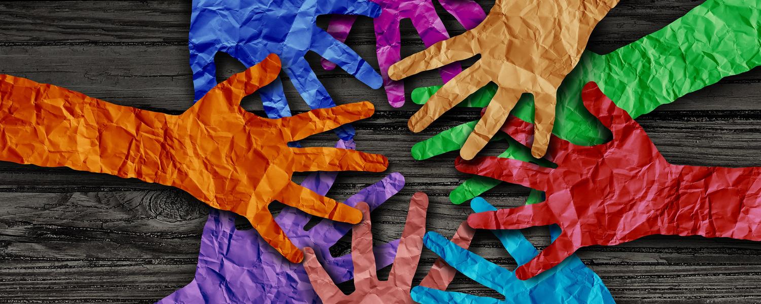 Curriculum Development Support