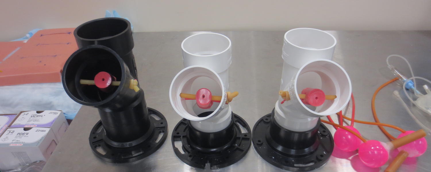 Simulation Model Development