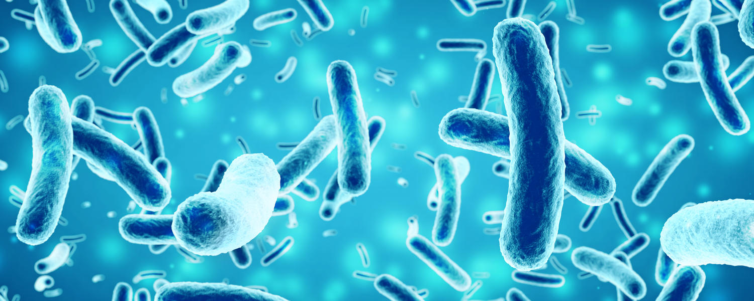 Department of Microbiology, Immunology and Infectious Diseases