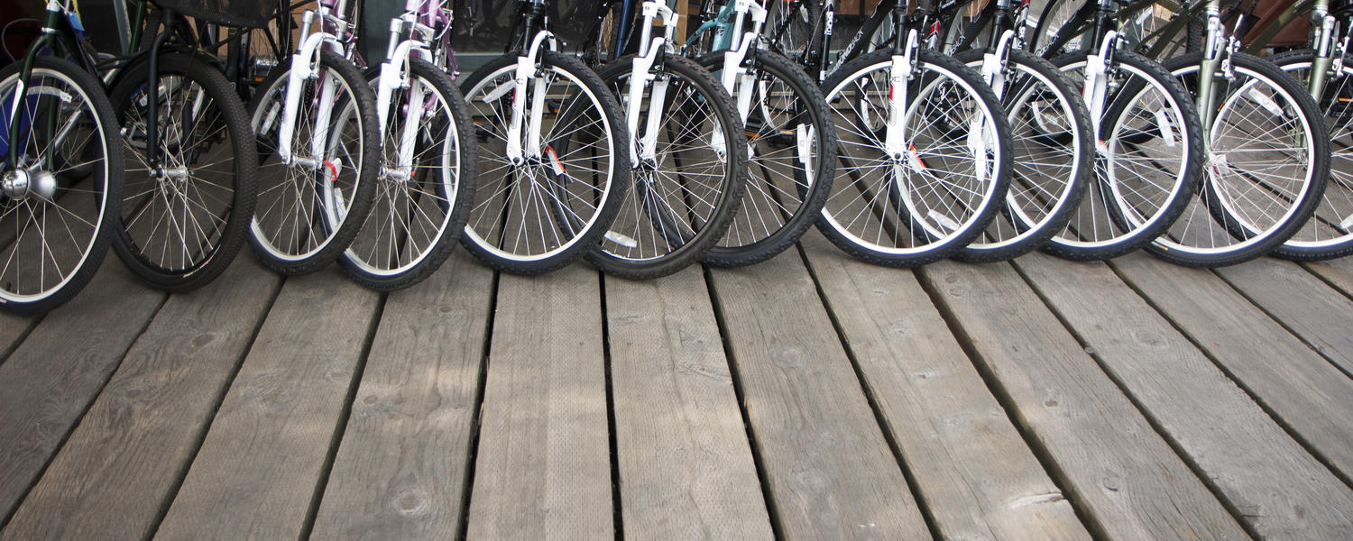 Bikes in line