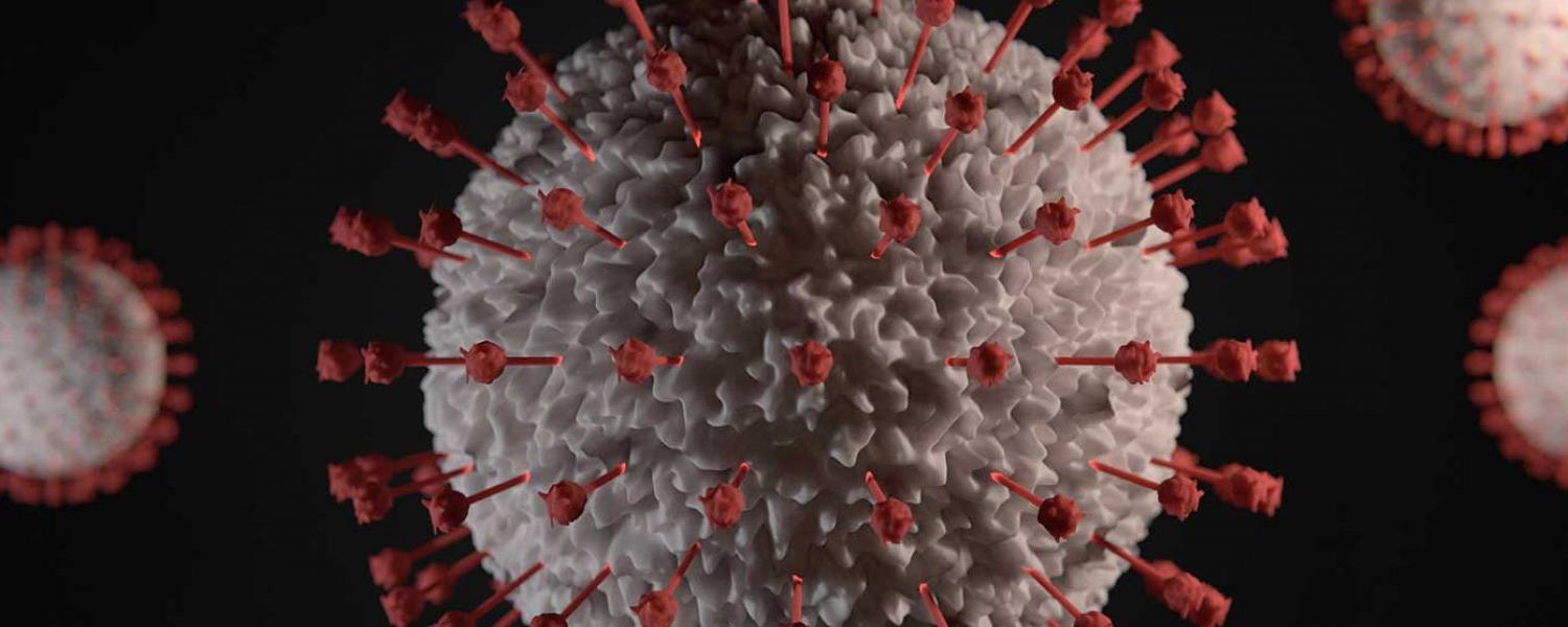 COVID-19 Virus Visual