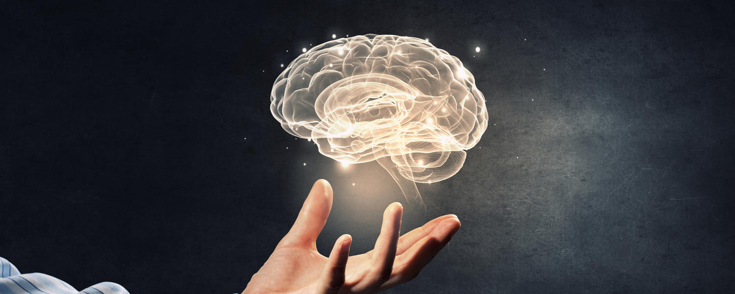 Holding brain