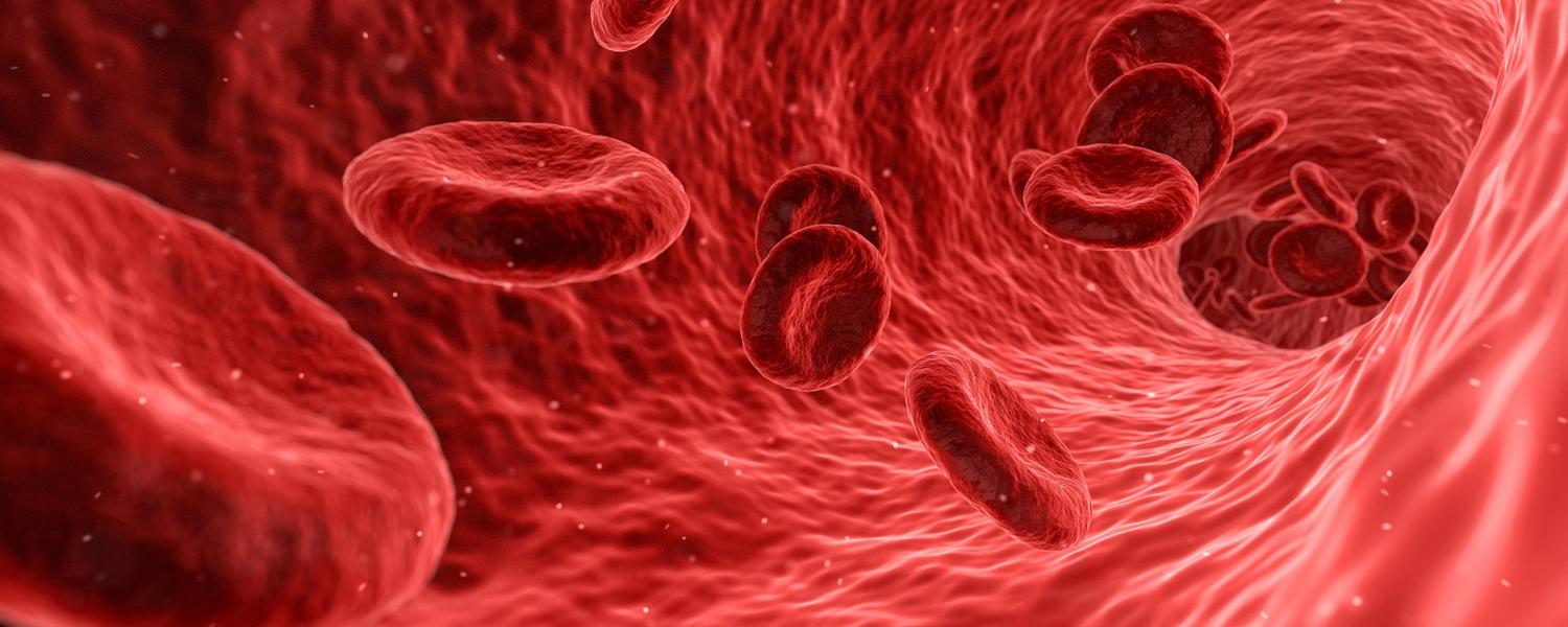 Blood